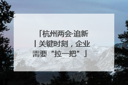 杭州两会·追新丨关键时刻，企业需要“拉一把”
